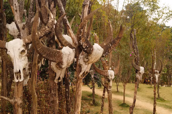 Làng du lịch nổi tiếng với nhà rơm- “bộ lạc nguyên thủy” cuối cùng bị lửa biến thành tro ảnh 3