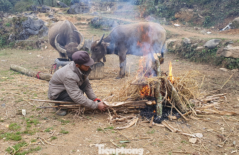 Hà Giang rét tê tái, người dân nổi lửa sưởi ấm cho gia súc ảnh 10