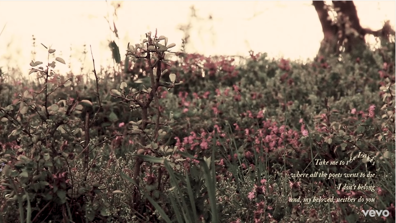 Taylor Swift bất ngờ tung MV “the lakes”, You Guys đồng loạt “tuyển gấp” gia sư tiếng Anh ảnh 8