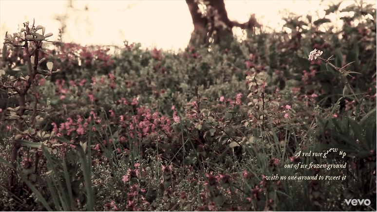 Taylor Swift bất ngờ tung MV “the lakes”, You Guys đồng loạt “tuyển gấp” gia sư tiếng Anh ảnh 7