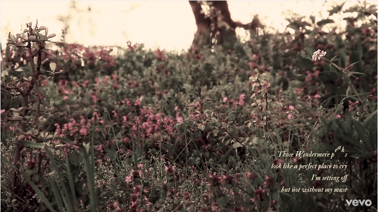 Taylor Swift bất ngờ tung MV “the lakes”, You Guys đồng loạt “tuyển gấp” gia sư tiếng Anh ảnh 9