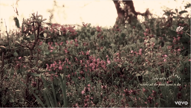 Taylor Swift bất ngờ tung MV “the lakes”, You Guys đồng loạt “tuyển gấp” gia sư tiếng Anh ảnh 4