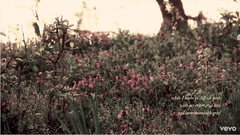 Taylor Swift bất ngờ tung MV “the lakes”, You Guys đồng loạt “tuyển gấp” gia sư tiếng Anh ảnh 6