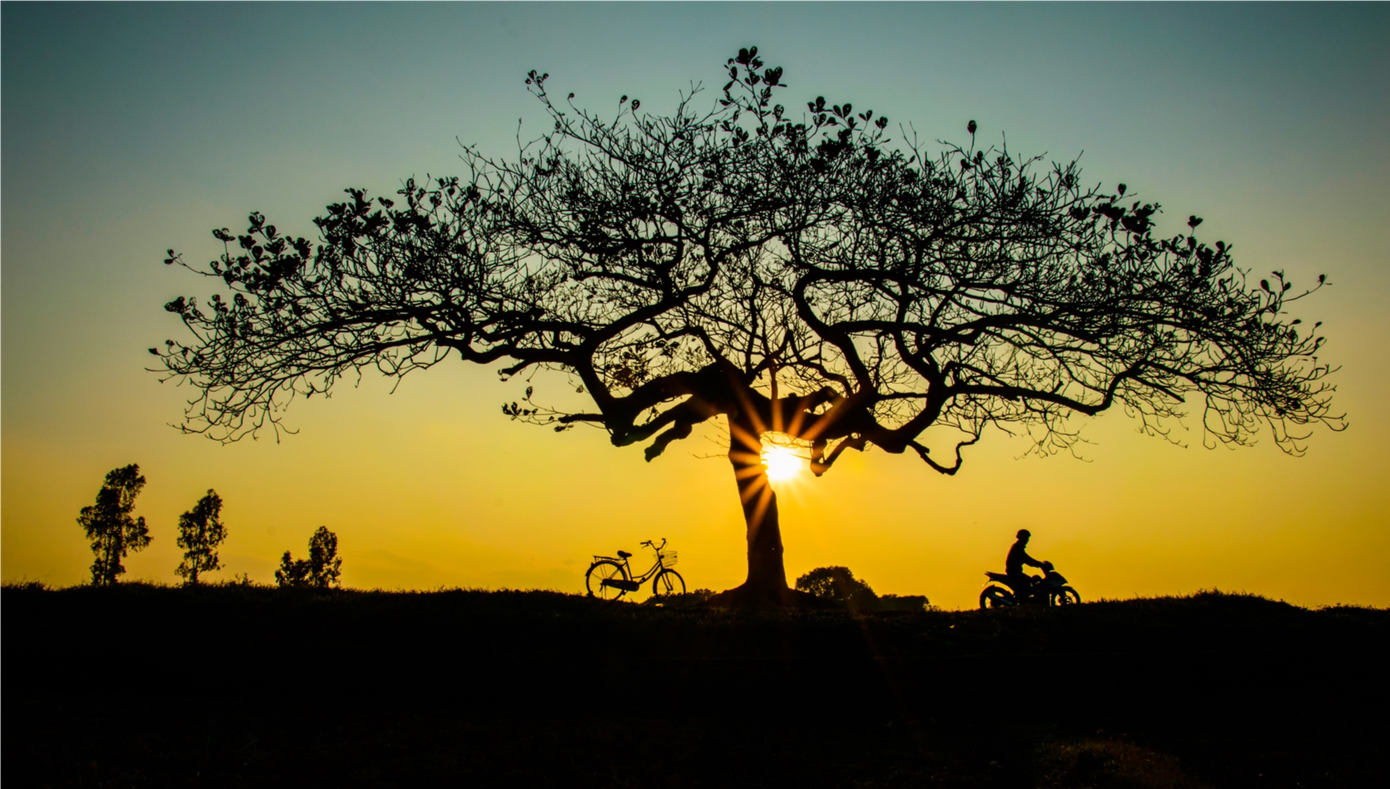 Ngắm Việt Nam đẹp ngỡ ngàng qua lăng kính của các bạn trẻ mê dịch chuyển ảnh 4