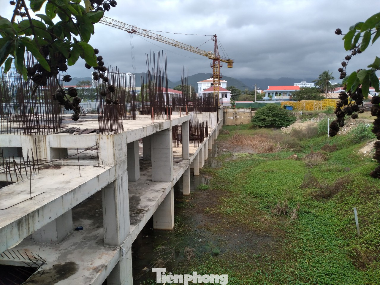 Cận cảnh 6 dự án bất động sản 'khủng' ở Nha Trang bị điều tra ảnh 2