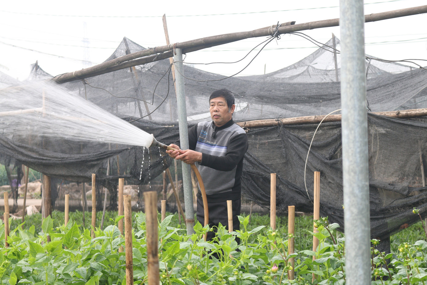 Ngân hàng lợi nhuận như mơ, thưởng Tết thế nào? ảnh 1 Ngân hàng lợi nhuận như mơ, thưởng Tết thế nào? ảnh 1