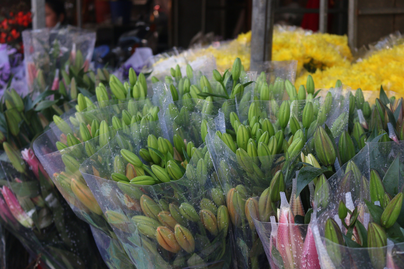 Người trồng hoa, buôn hoa Tết lo ế vì dịch COVID-19 ảnh 4