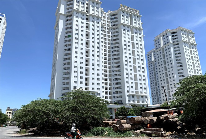 Nhà giá rẻ khan hiếm, Bộ Xây dựng tính kế để giảm giá nhà ở ảnh 1