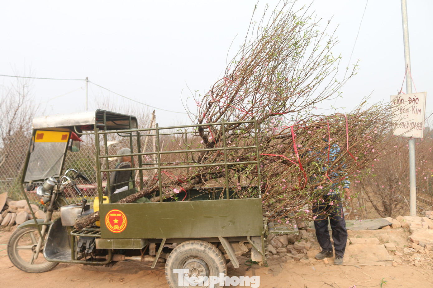 Đào Nhật Tân 'mini' hối hả về phố trước rằm tháng Chạp ảnh 7