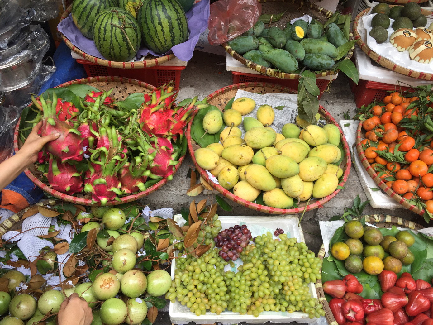 Ông Táo 'lên chầu sớm', nhiều loại 'cá lên mâm' cực đắt hàng ảnh 2