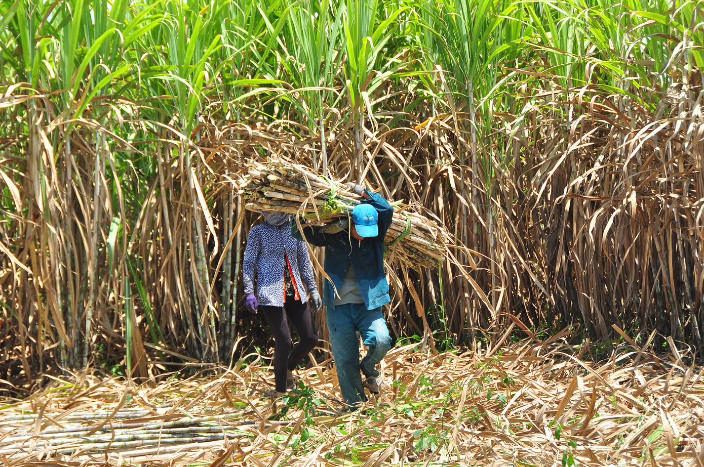 Rúng động vụ 'tham nhũng chính sách' ở Trà Vinh ảnh 1