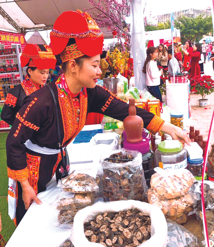 Cô gái tiên phong trồng rừng thông giữ đất, làm kinh tế ảnh 2