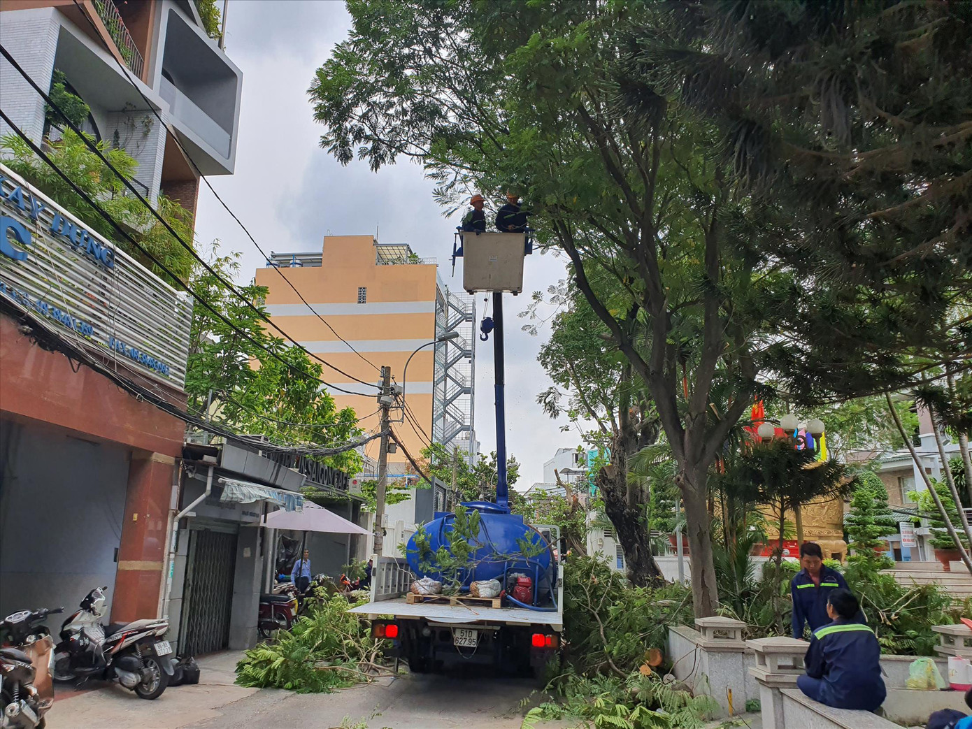 Cây xanh gây họa, ai chịu trách nhiệm? ảnh 1