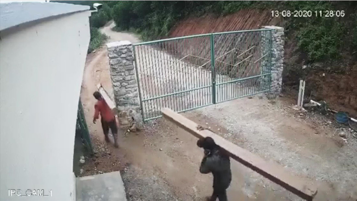 Lâm tặc ngang nhiên phá rừng phòng hộ ở Quảng Ngãi ảnh 1