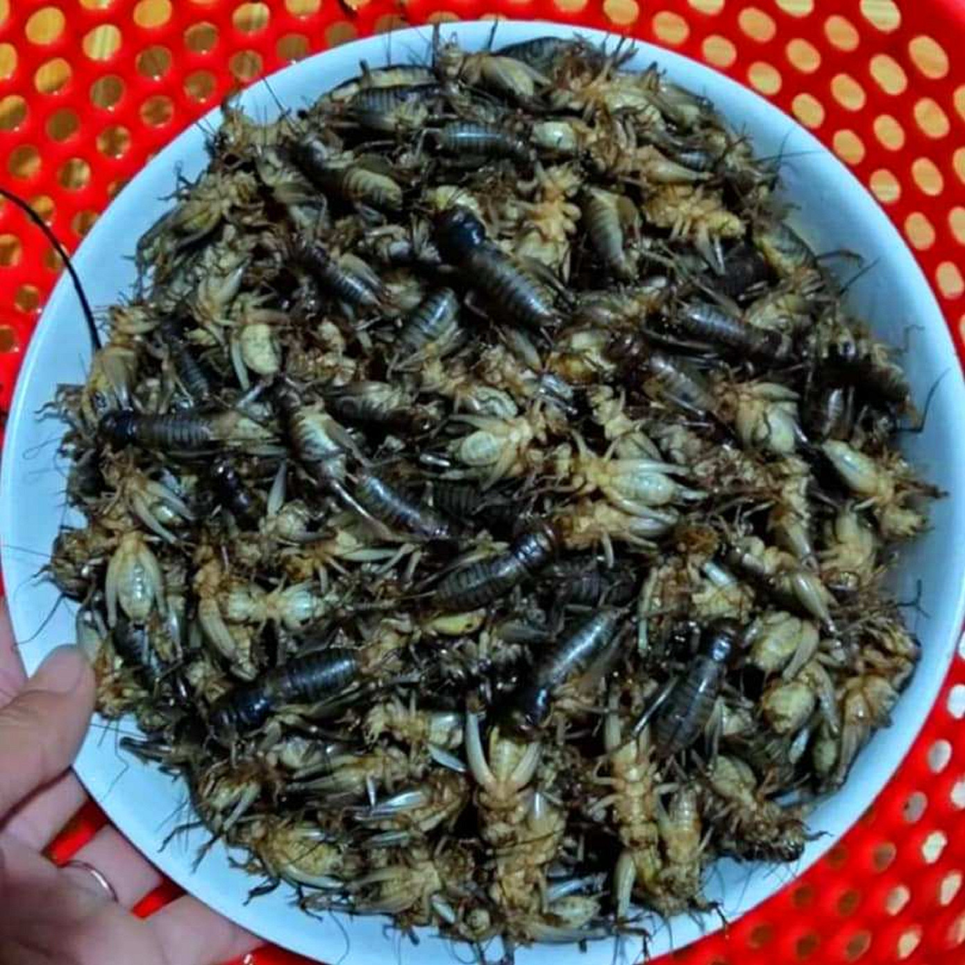 Chuyện cũ ở thủ phủ Cà Phê: Đặc sản ăn theo ảnh 1