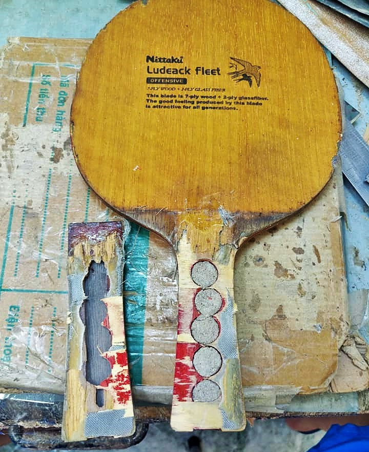 Thú chơi vợt cổ ảnh 1