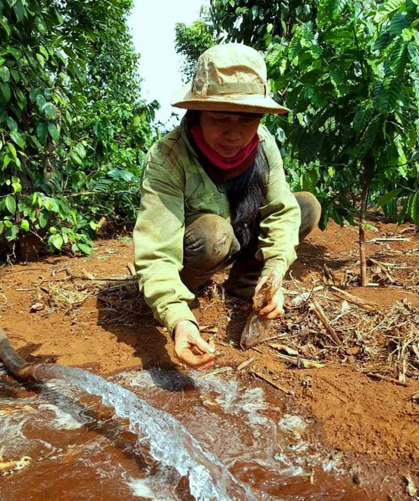 Chuyện cũ ở thủ phủ Cà Phê: Đặc sản ăn theo ảnh 2