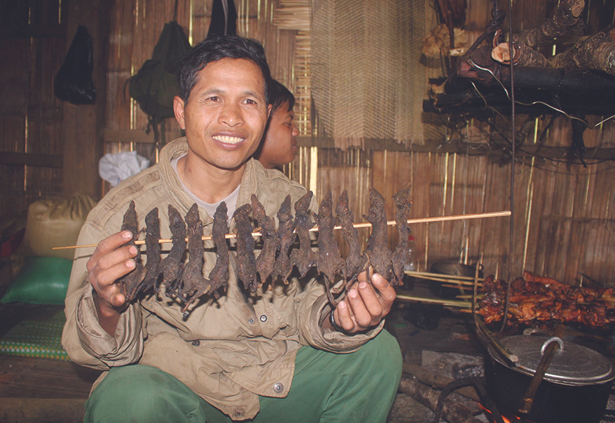 Tôi đi săn chuột 'quý tộc' ảnh 1