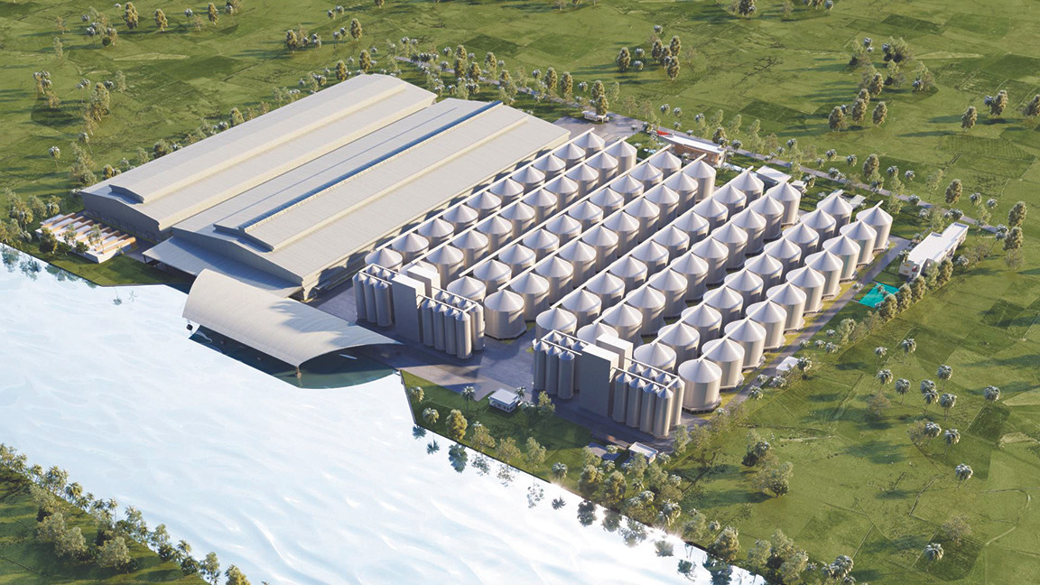 Bắt tay vì một 'cánh đồng hạnh phúc' ảnh 3