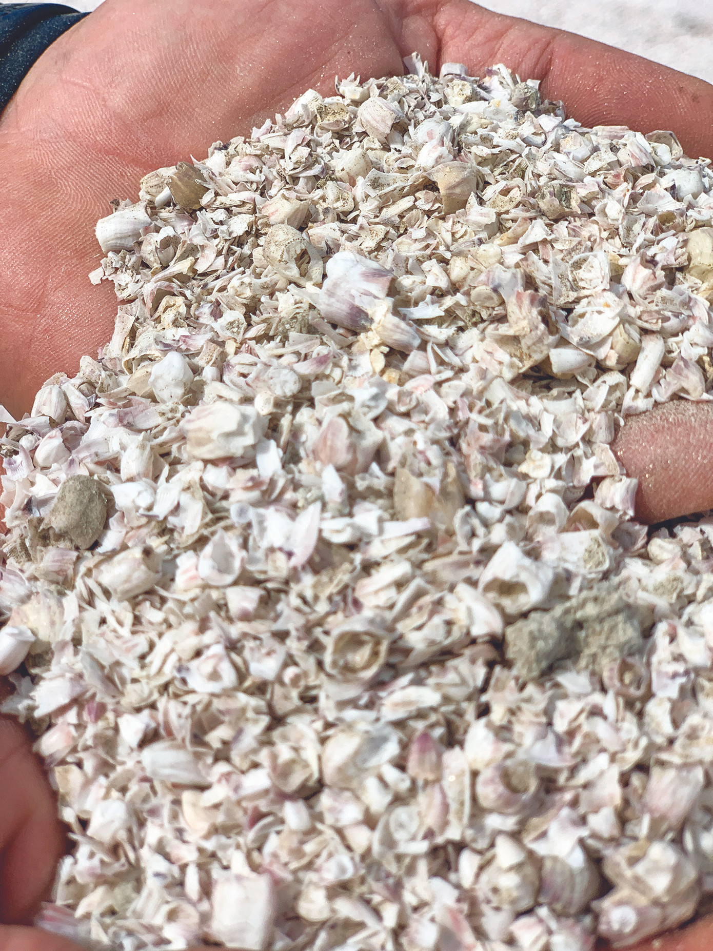 Sống cho ra sống ảnh 2