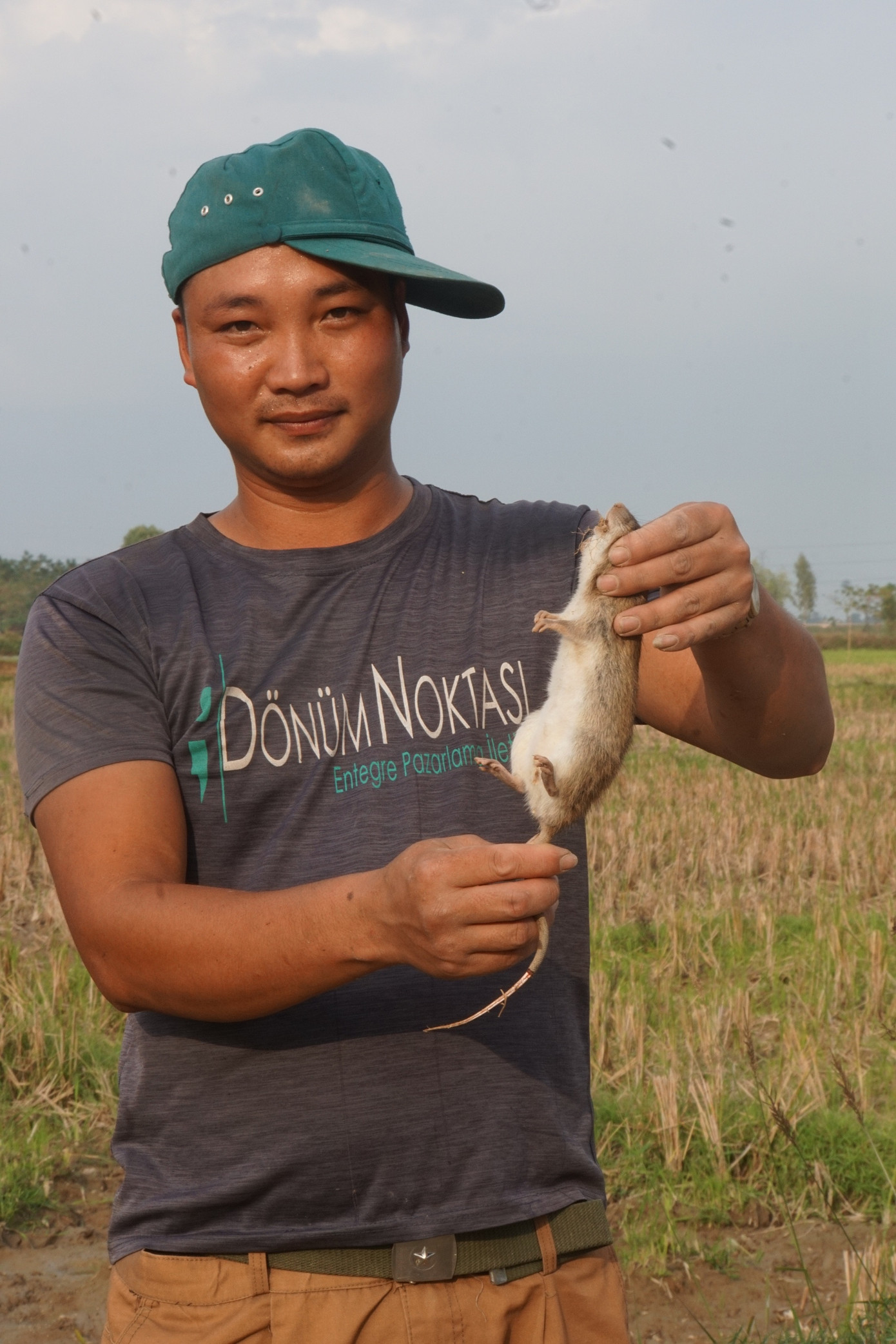 Chuột đồng, lòng vòng giai thoại ảnh 3