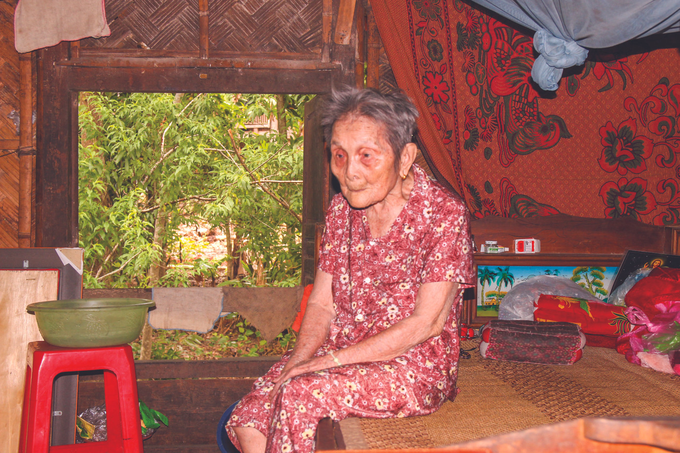 Phu nhân Tri phủ cuối cùng phủ Tương Dương ảnh 1