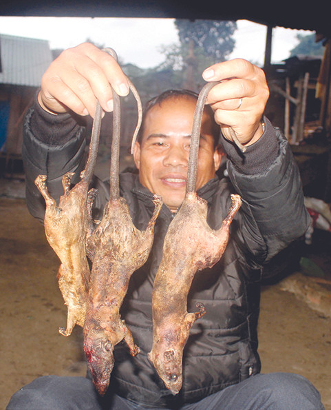 Tôi đi săn chuột 'quý tộc' ảnh 4