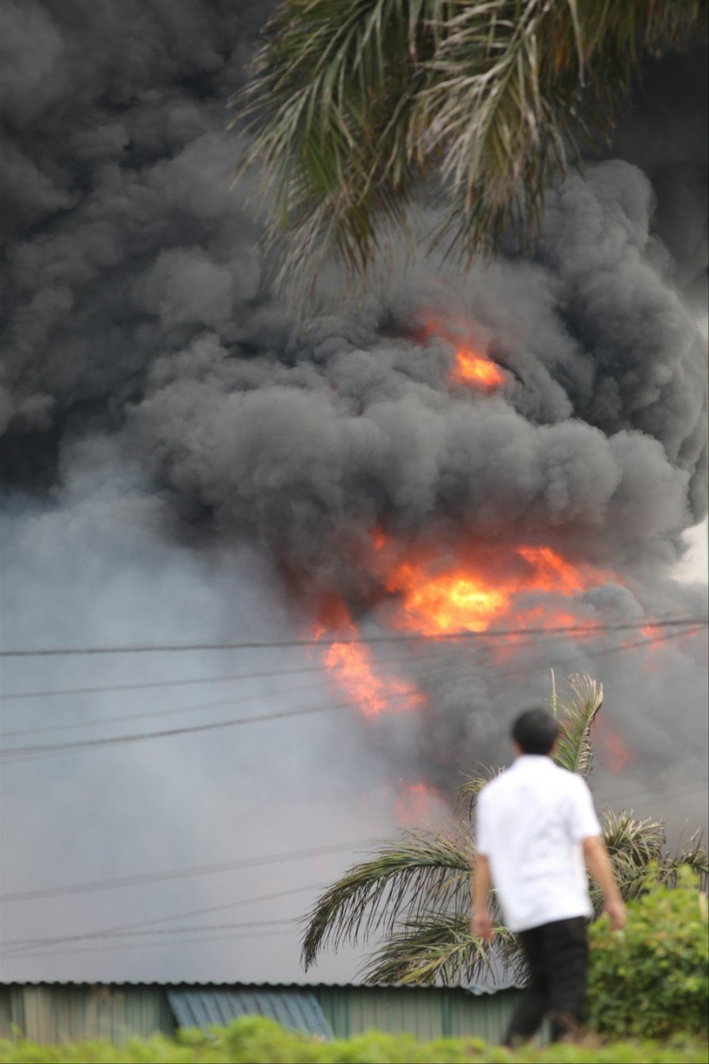 Vụ cháy hóa chất ở Long Biên: Hóa chất độc hại vượt ngưỡng 17 lần ảnh 1