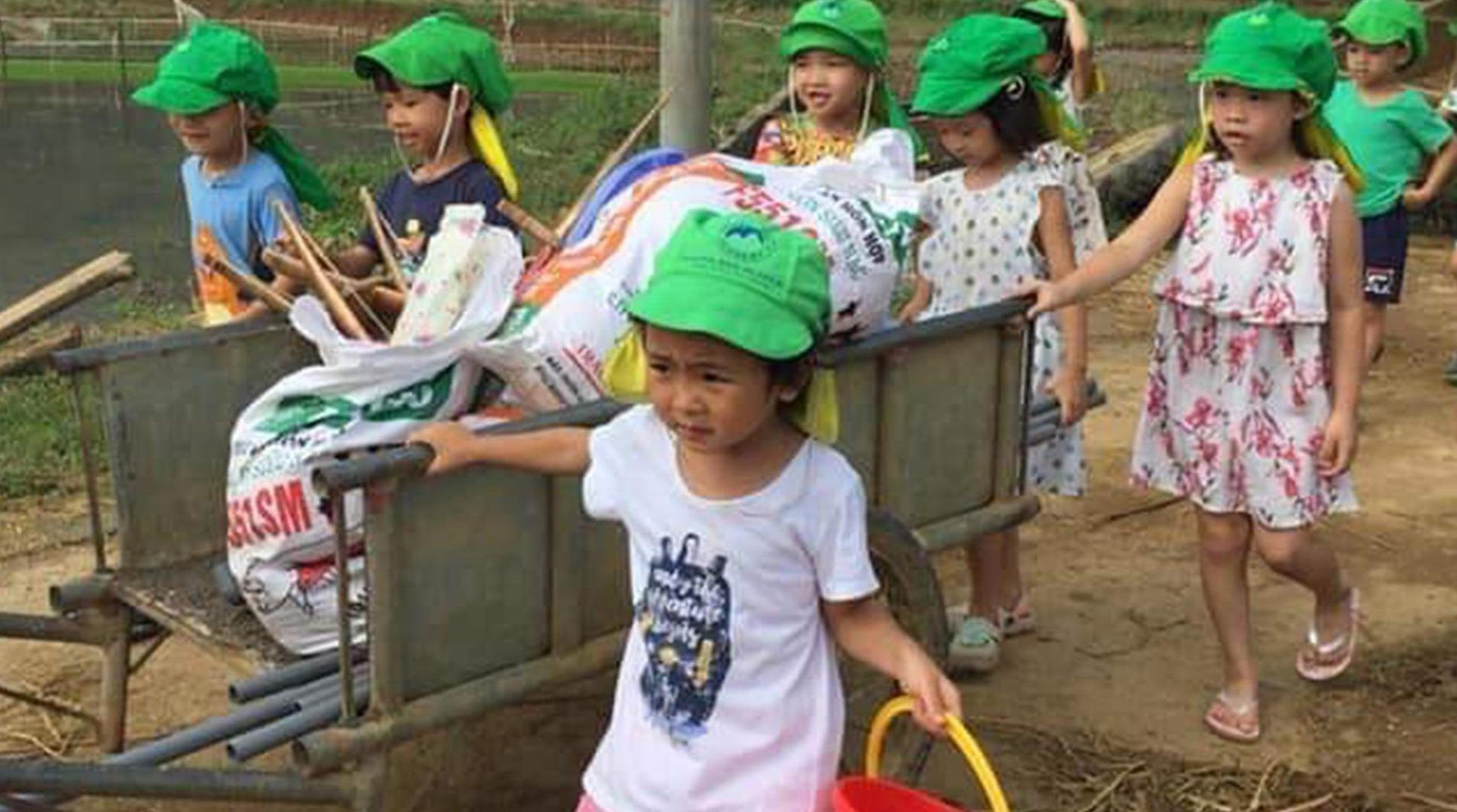 Trường tư không nghỉ hè: Sở Giáo dục nói chưa nhận được... văn bản ảnh 2