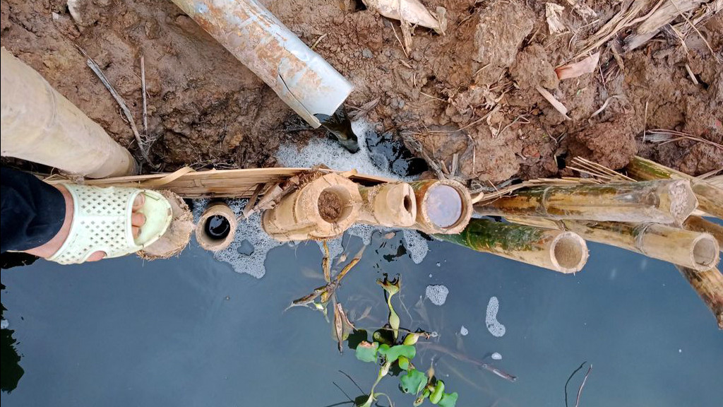 Cận cảnh nước thải trang trại lợn bủa vây khu dân cư ở Hải Phòng ảnh 9