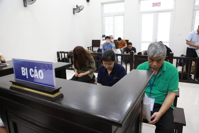 Xử phúc thẩm vụ bé trai 6 tuổi Trường tiểu học Gateway tử vong bị hoãn ảnh 1