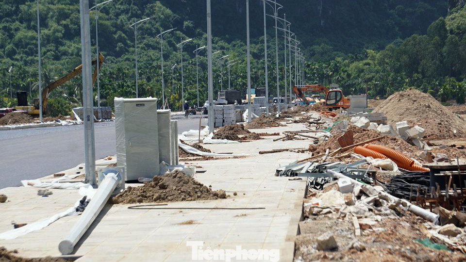 Bãi cọc trong trận thủy chiến Bạch Đằng - Hải Phòng đón khách tham quan ảnh 9