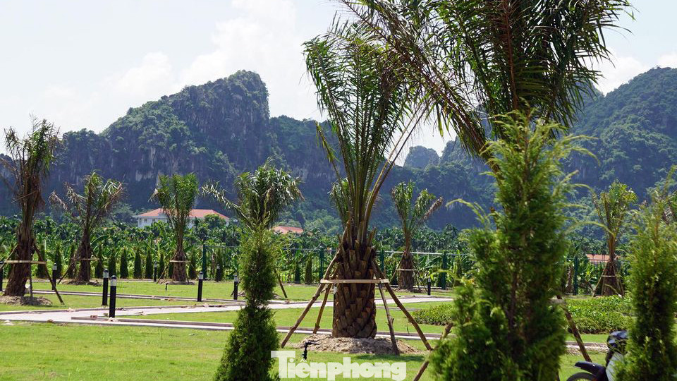 Bãi cọc trong trận thủy chiến Bạch Đằng - Hải Phòng đón khách tham quan ảnh 7