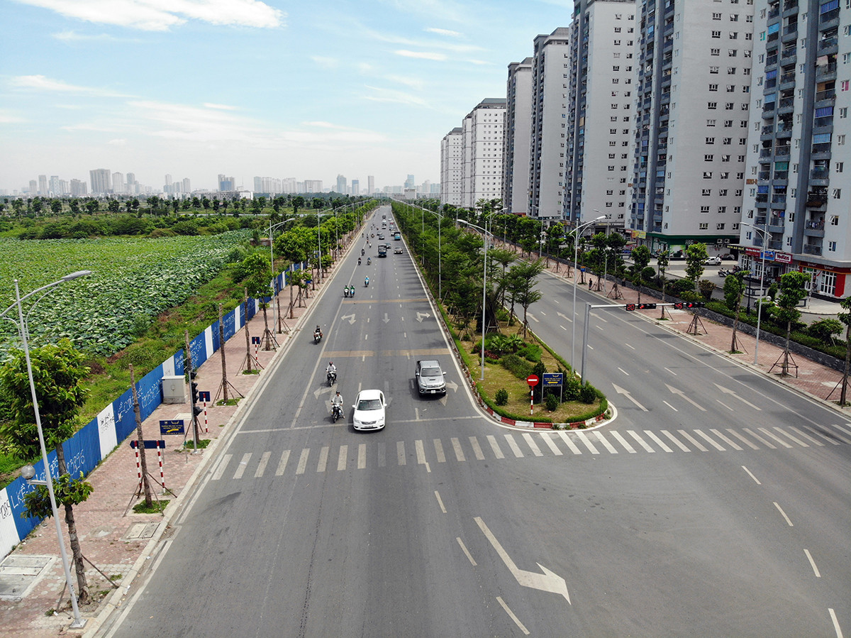 Hàng loạt cây xanh chết khô trên đường 'nghìn tỷ' ở Hà Nội ảnh 1