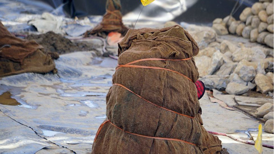 Bãi cọc trong trận thủy chiến Bạch Đằng - Hải Phòng đón khách tham quan ảnh 6