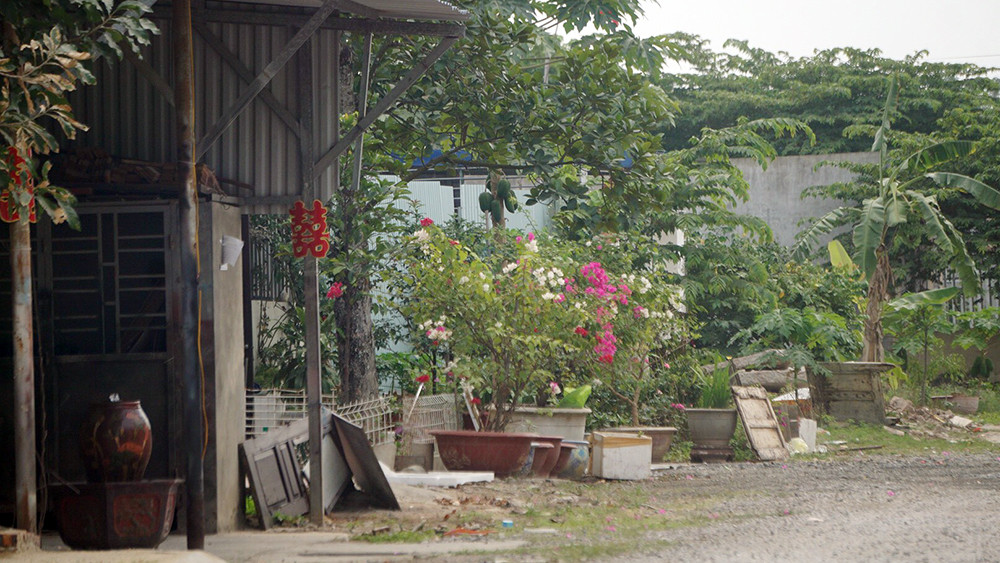 Hải Phòng sắp cưỡng chế 9ha đất quốc phòng bị lấn chiếm ảnh 9