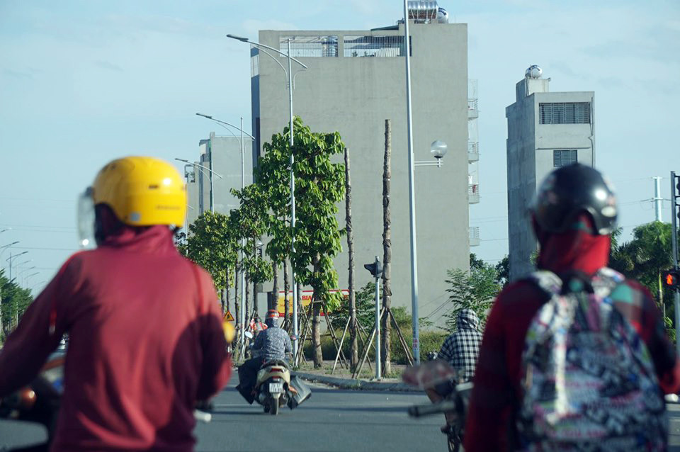 Hàng loạt cây xanh chết khô trên đường 'nghìn tỷ' ở Hà Nội ảnh 9