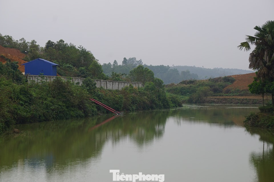 Người dân Phú Thọ 'than trời' vì xưởng chế biến gỗ gây ô nhiễm ảnh 4