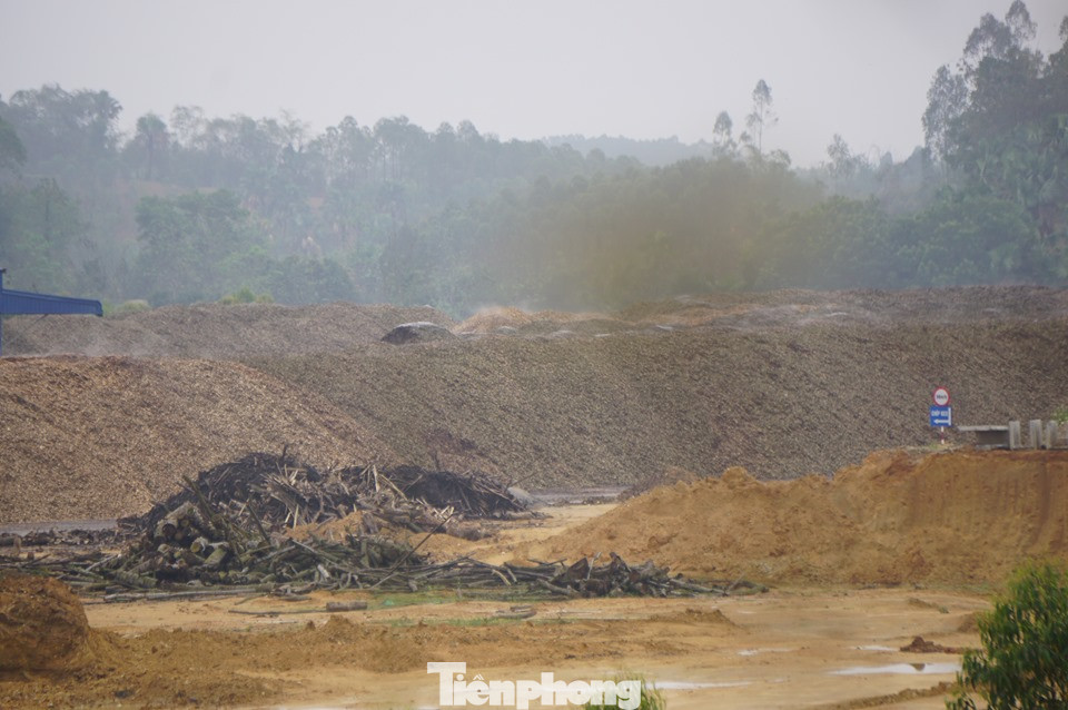 Người dân Phú Thọ 'than trời' vì xưởng chế biến gỗ gây ô nhiễm ảnh 2