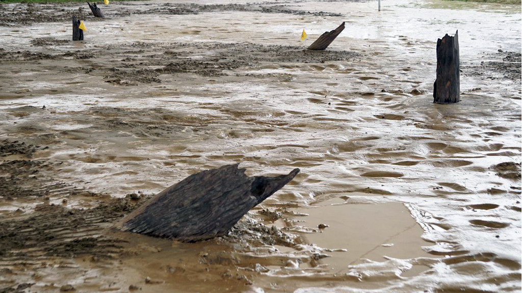 Thủ tướng dự lễ khởi động, khánh thành 2 dự án trọng điểm ở Hải Phòng ảnh 7