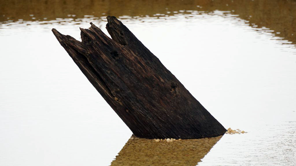 Thủ tướng dự lễ khởi động, khánh thành 2 dự án trọng điểm ở Hải Phòng ảnh 6