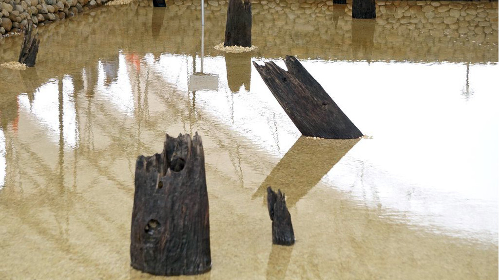 Thủ tướng dự lễ khởi động, khánh thành 2 dự án trọng điểm ở Hải Phòng ảnh 5