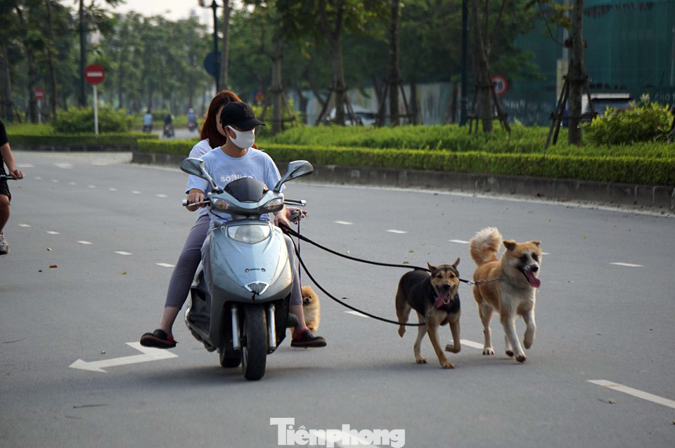 Trước ngày hết cách ly xã hội, người dân đổ ra công viên bất chấp lệnh cấm ảnh 5