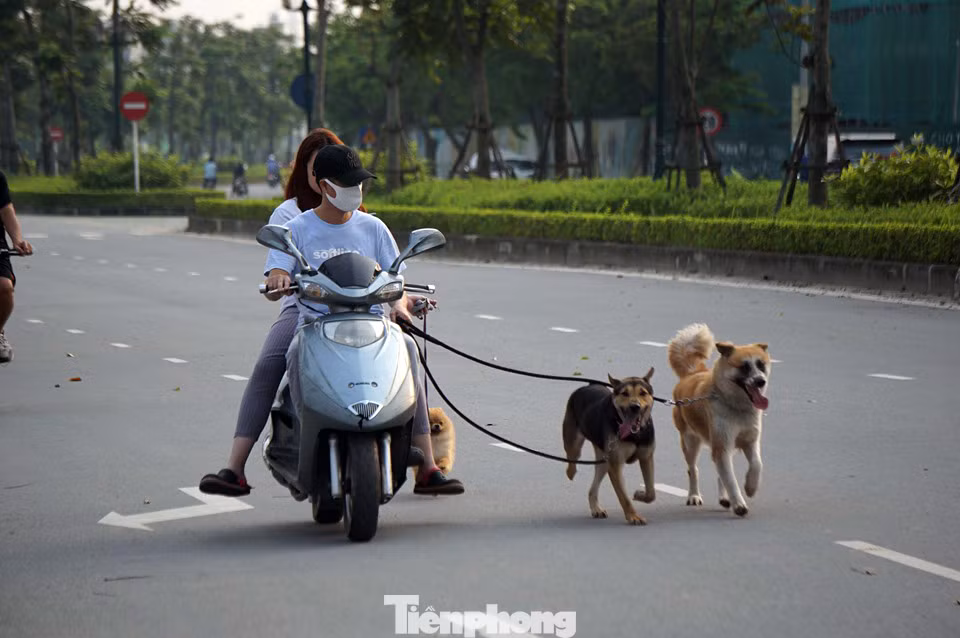 Trước ngày hết cách ly xã hội, người dân đổ ra công viên bất chấp lệnh cấm ảnh 5