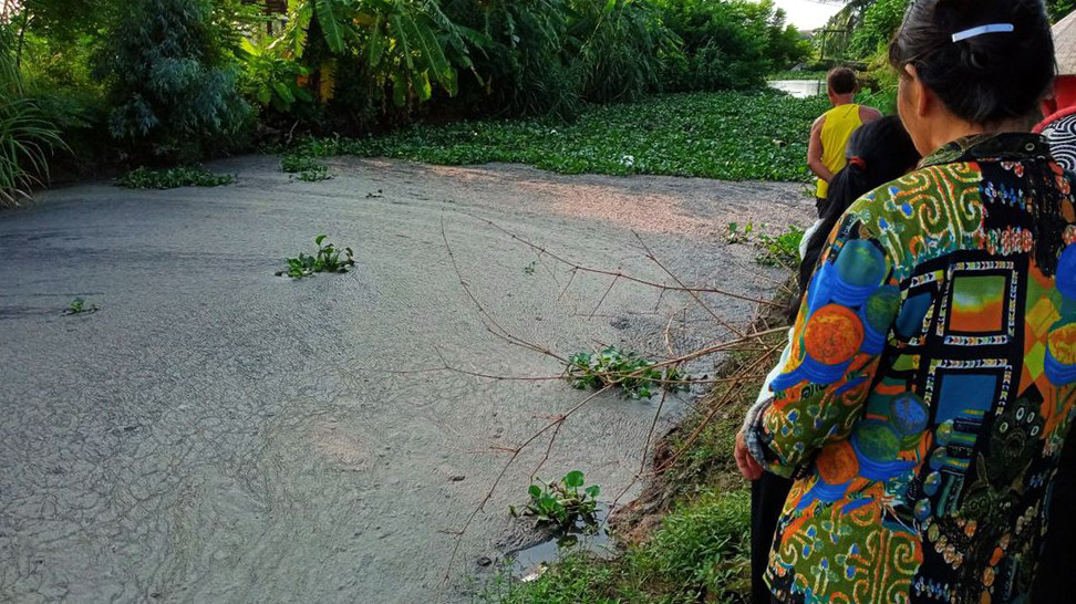 Cận cảnh nước thải trang trại lợn bủa vây khu dân cư ở Hải Phòng ảnh 5