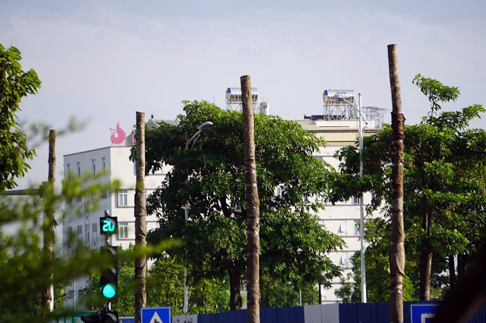 Hàng loạt cây xanh chết khô trên đường 'nghìn tỷ' ở Hà Nội ảnh 4