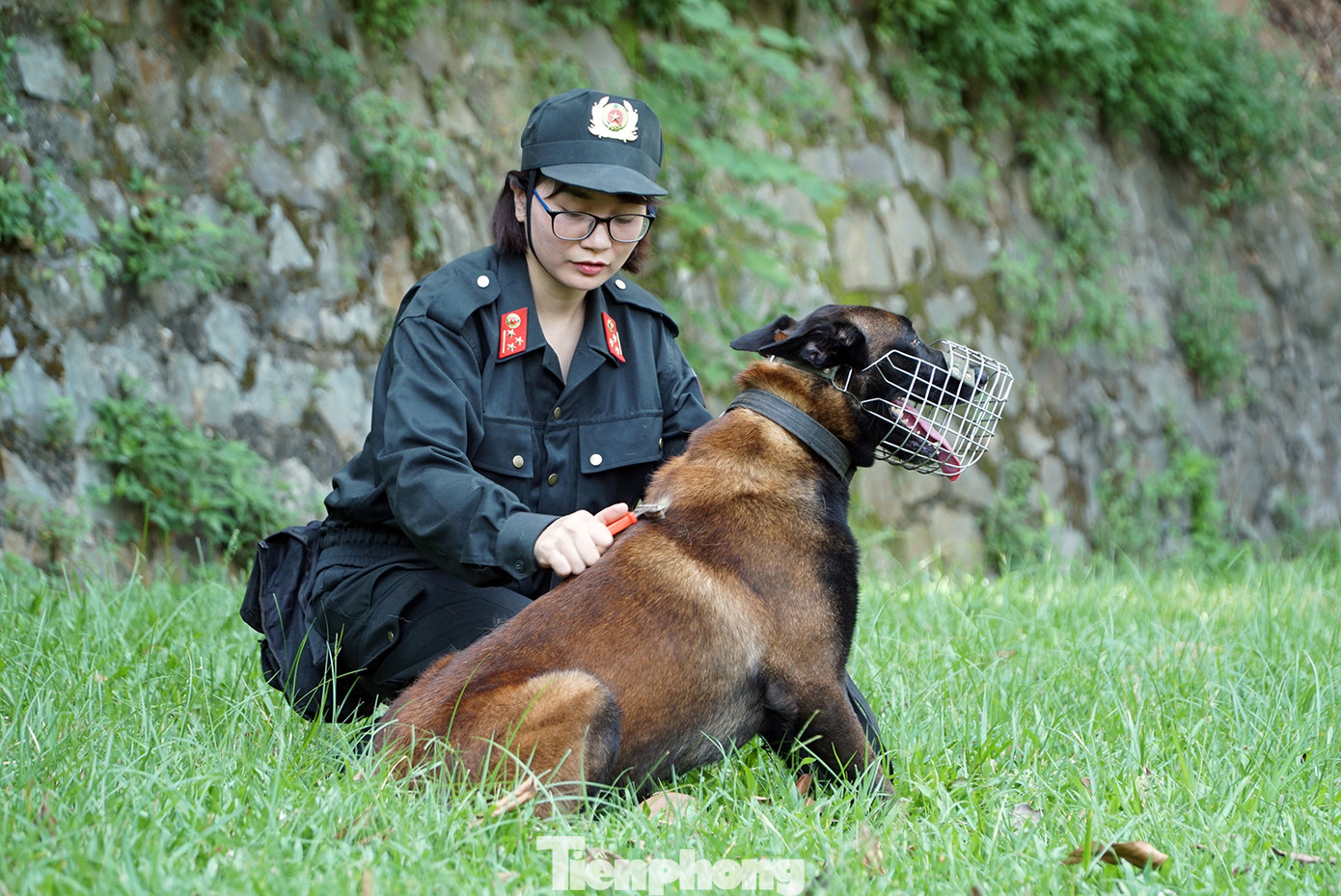 Tận thấy cảnh khuyển phát hiện ma túy, cỏ Mỹ và truy bắt tội phạm ảnh 2