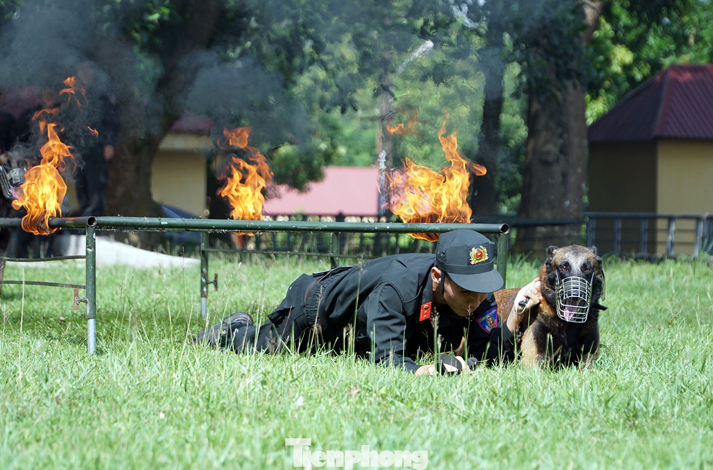 Tận thấy cảnh khuyển phát hiện ma túy, cỏ Mỹ và truy bắt tội phạm ảnh 4