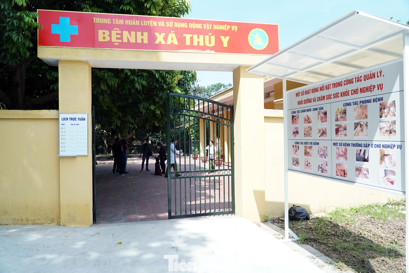 Tận thấy cảnh khuyển phát hiện ma túy, cỏ Mỹ và truy bắt tội phạm ảnh 10