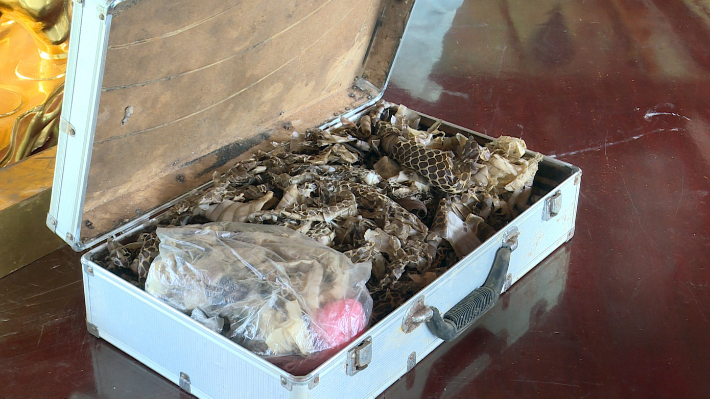 Cận cảnh 27 tấn vàng giả của 'nữ quái' thuê đúc để lừa chiếm tiền tỷ ảnh 7